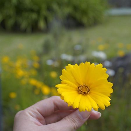 Pousada Bramasole 몬테베르데 외부 사진